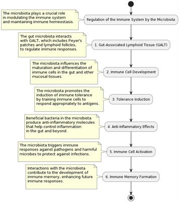 Unveiling the therapeutic symphony of probiotics, prebiotics, and postbiotics in gut-immune harmony